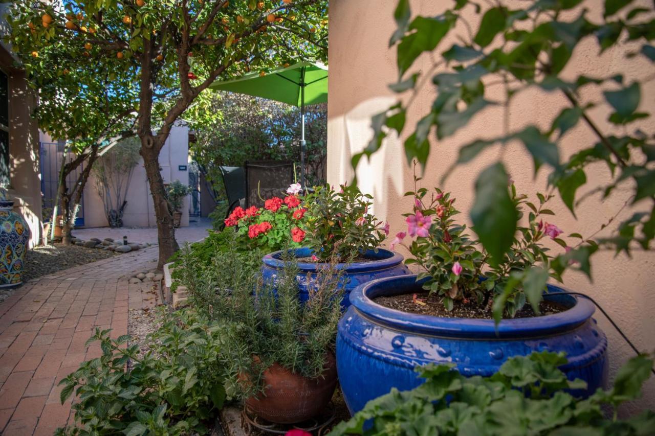 Adobe Rose Inn Tucson Exterior photo