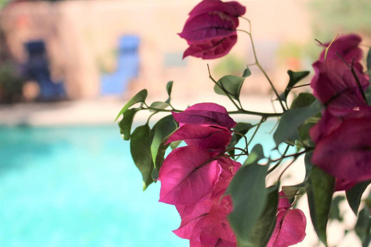 Adobe Rose Inn Tucson Exterior photo