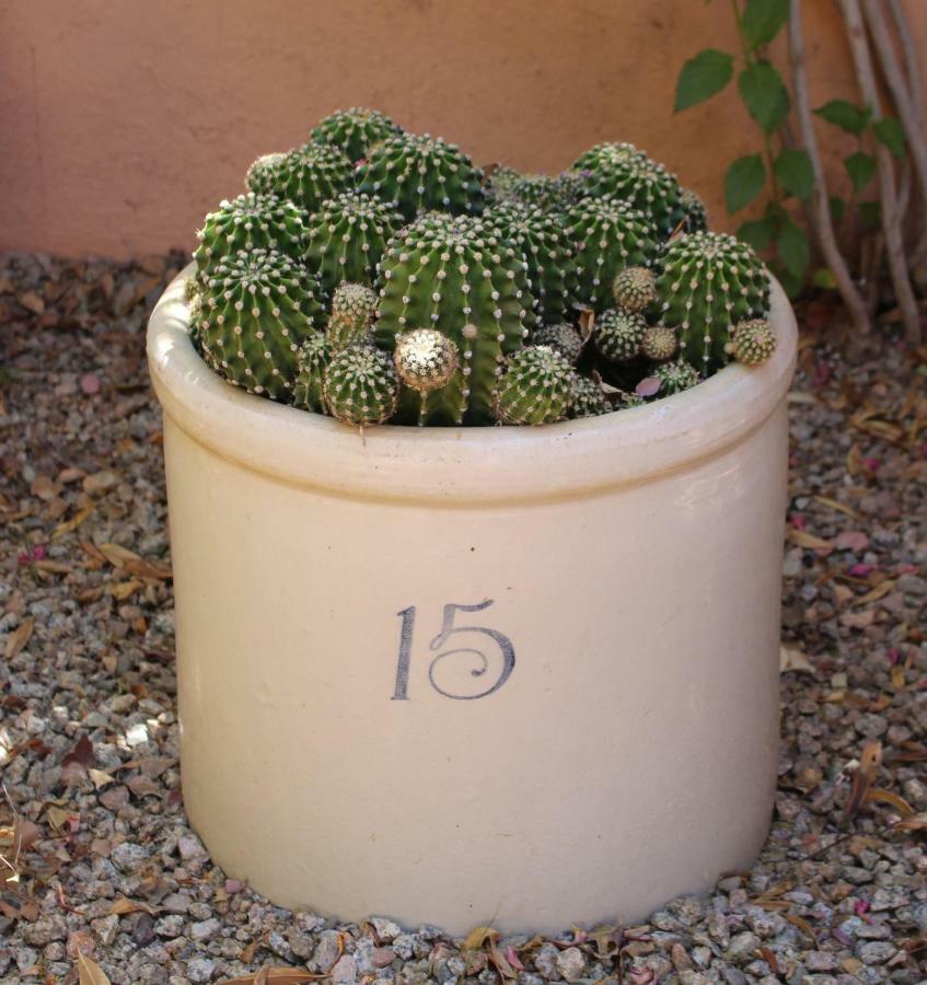 Adobe Rose Inn Tucson Exterior photo